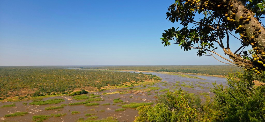 UN ART DE VIVRE SOUS LES&nbsp;ACACIAS